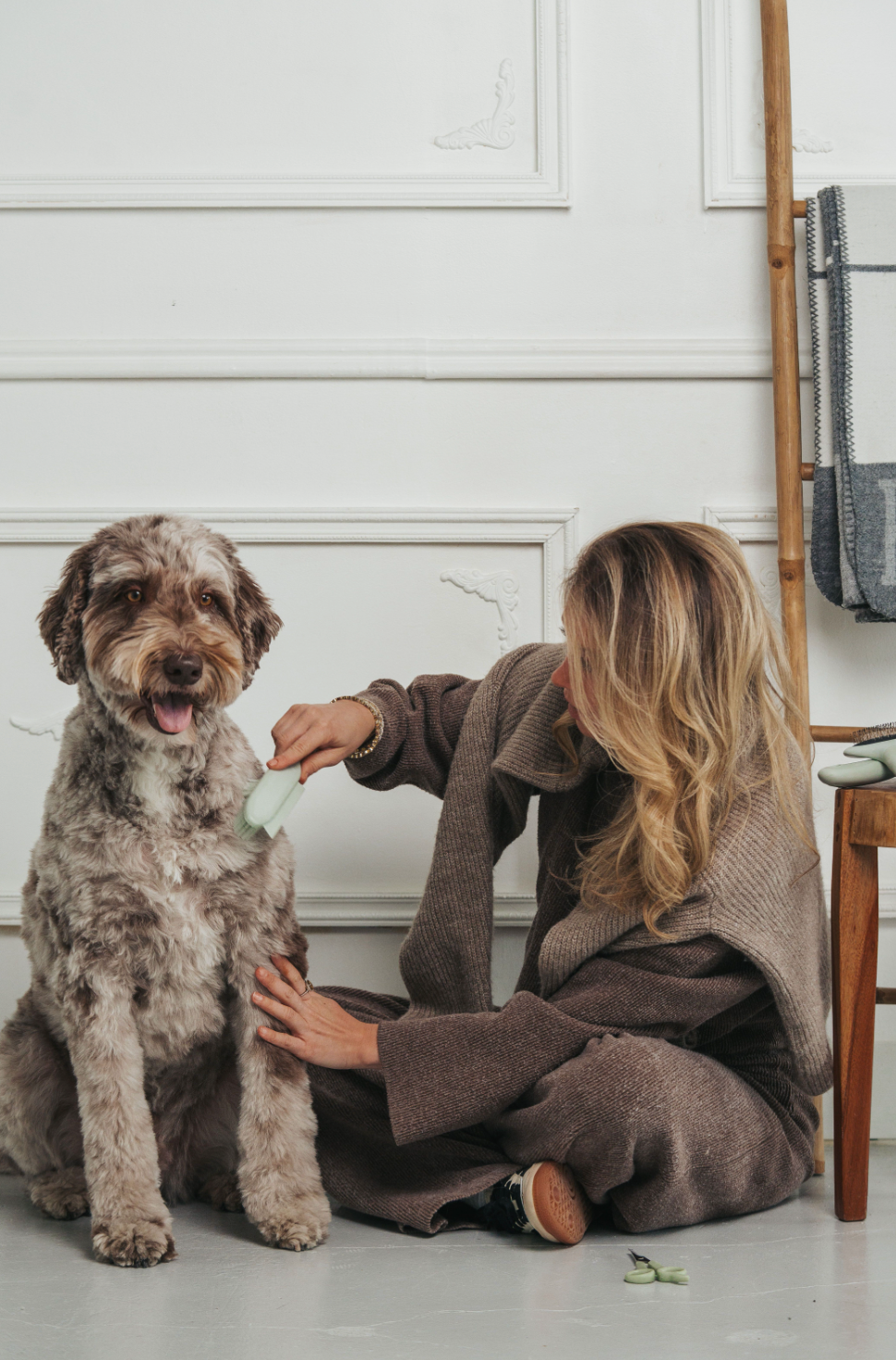 Dry & Wet Grooming Brush