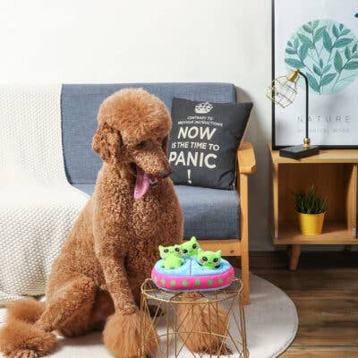 HugSmart Pet - Space Paws | Aliens - Interactive Toy