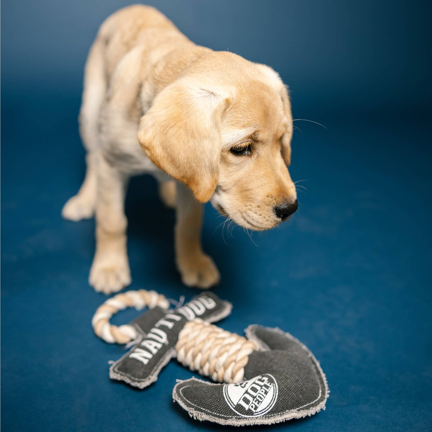 NEW!! Nauti Dog - 12" Canvas Dog Toy on Rope