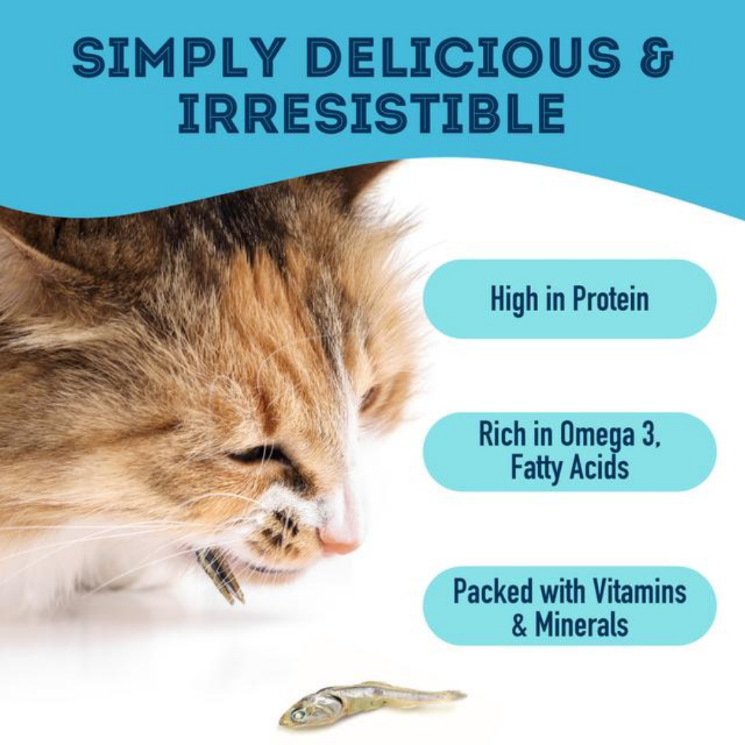 NEW!! Sardines Dehydrated Pet Treats: High-Protein & Natural 90g