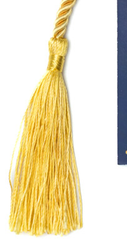 Catchelor’s Degree Scratcher