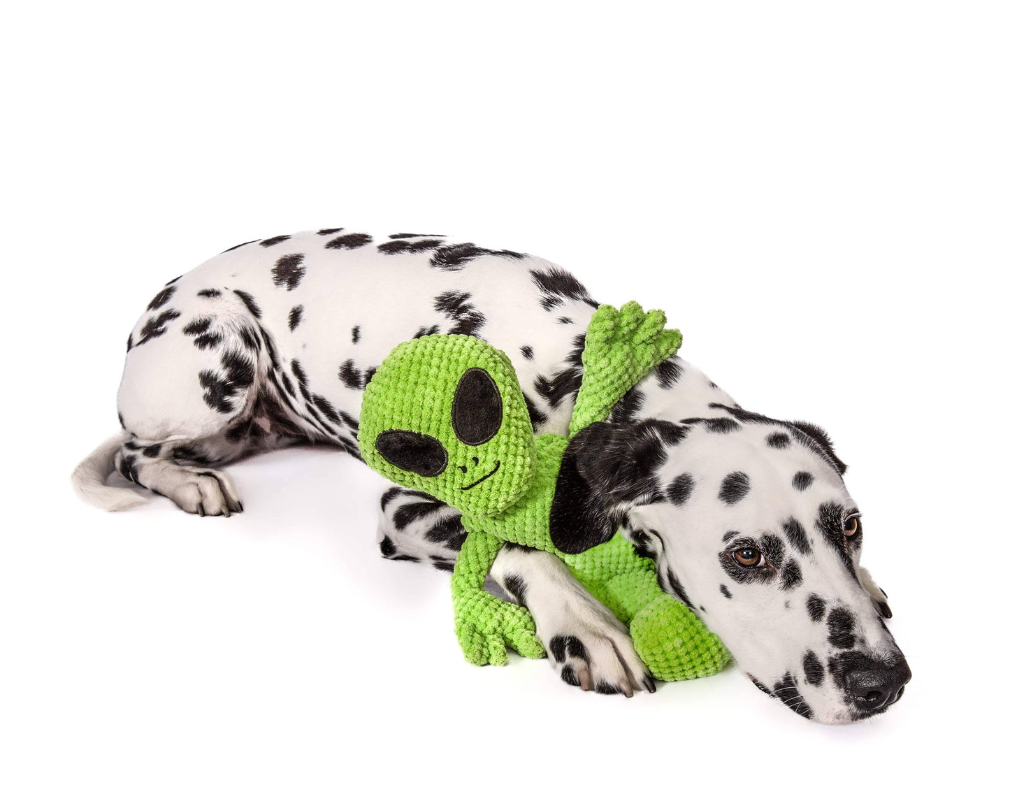 Floppy Alien: Small