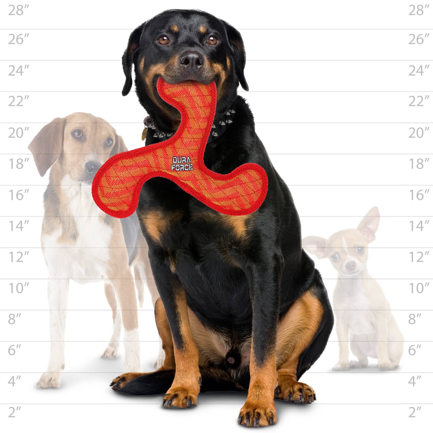 DuraForce Boomerang ZigZag - Red-LARGE