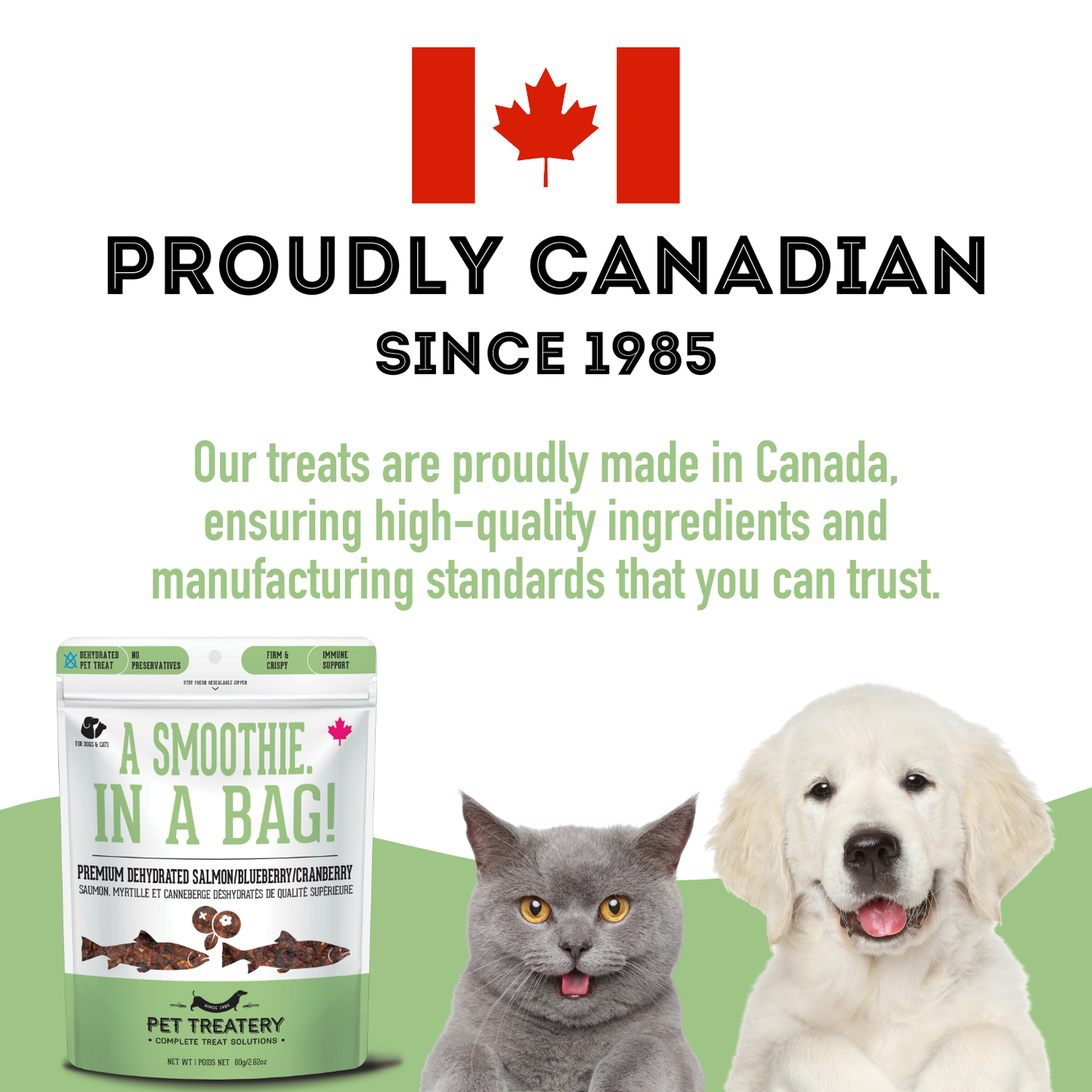 Salmon, Cranberry & Blueberry Dehydrated Pet Treat 80g