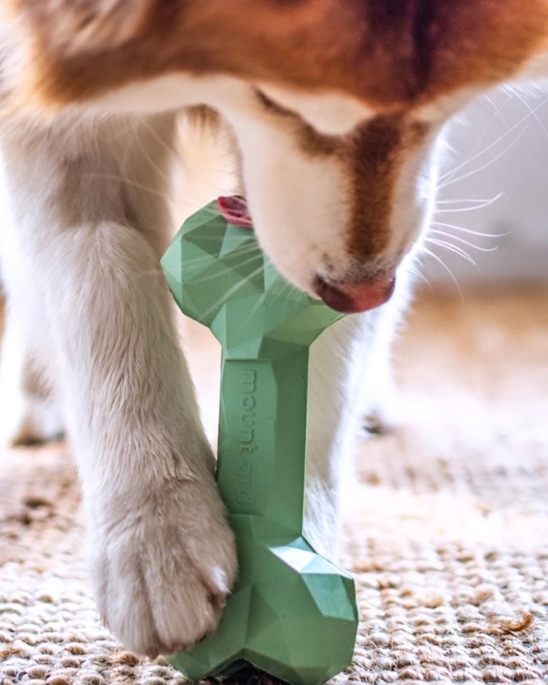 Mount Ara Superbite Chew Toy: Blue