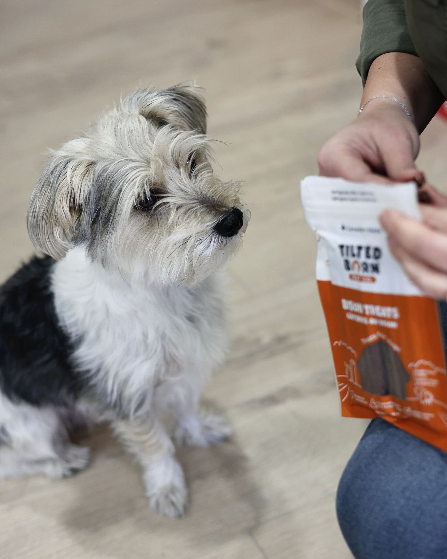 Tilted Barn Bison Miniwag treats