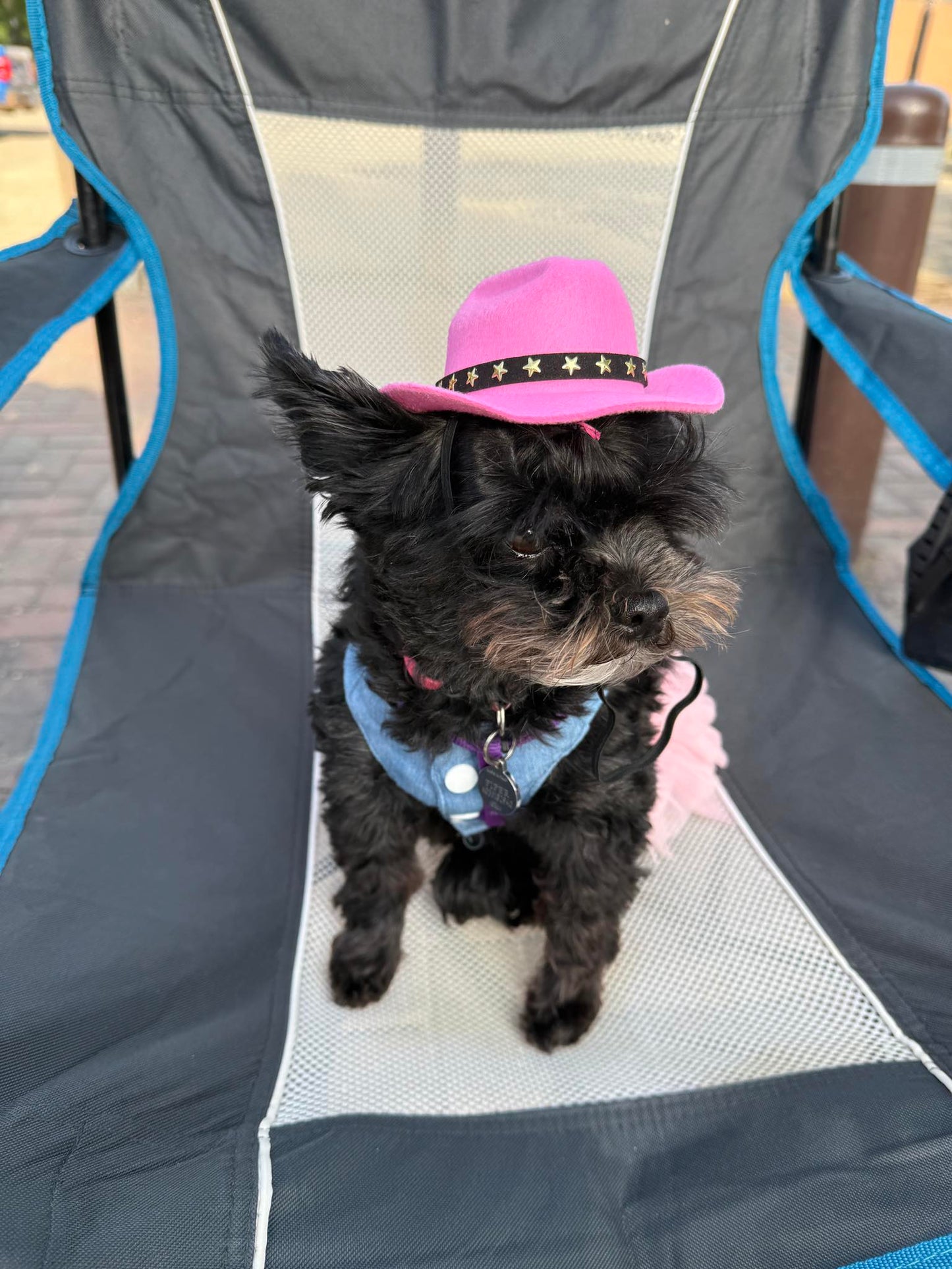 CowGirl Hat with bandana collar-Small