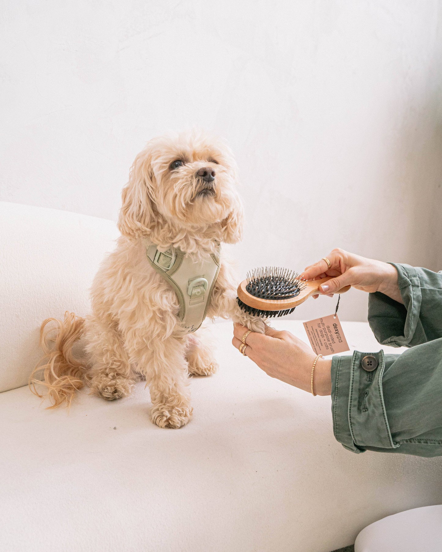 Dual-Sided Multi-Purpose Brush for dogs & cats