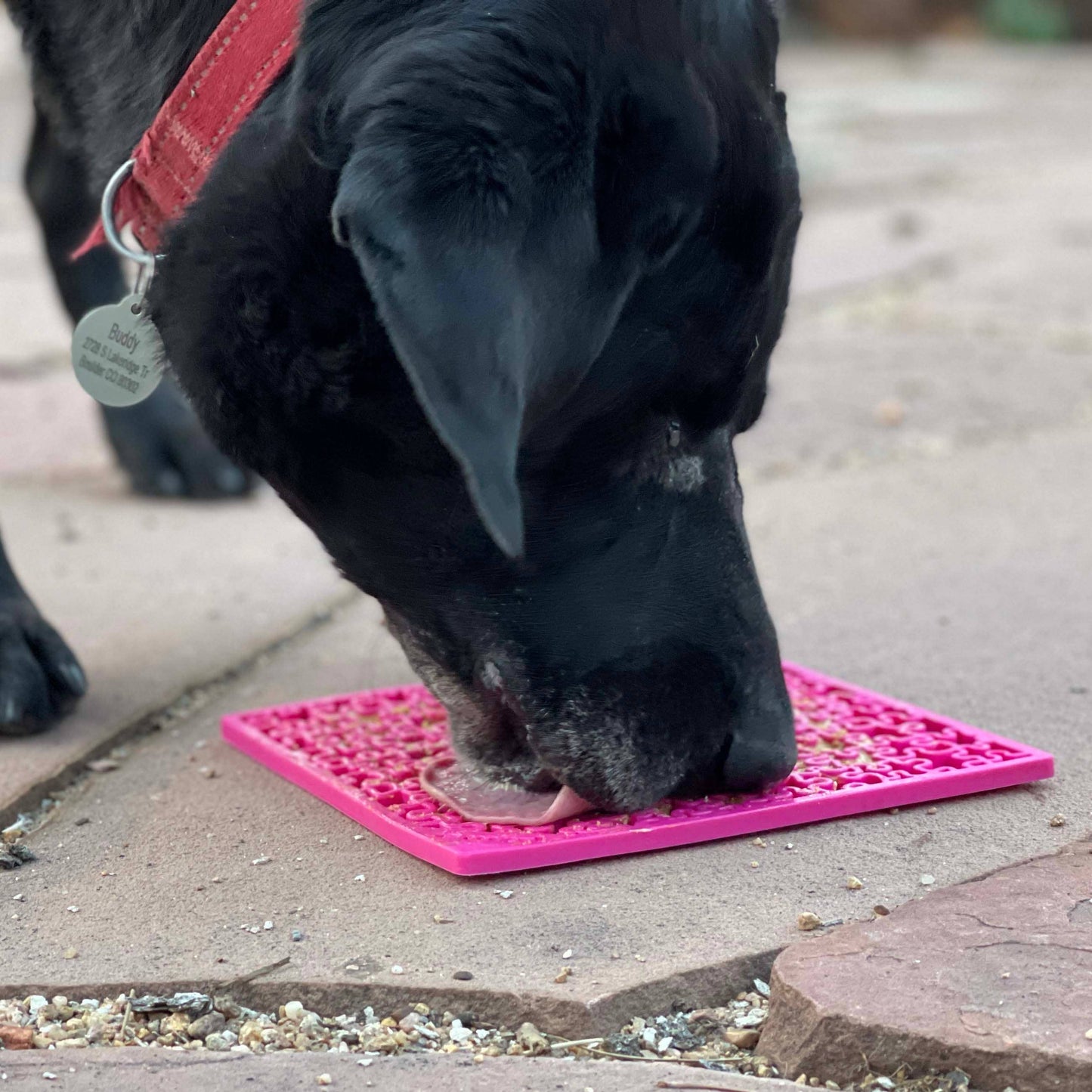 Jigsaw Design Emat Enrichment Licking Mat: Pink