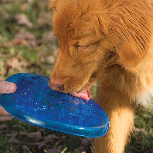 Freezies Flyer Frisbee