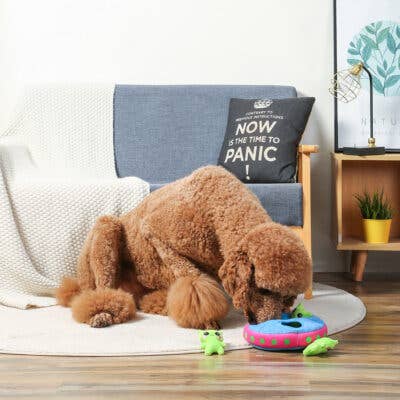 HugSmart Pet - Space Paws | Aliens - Interactive Toy