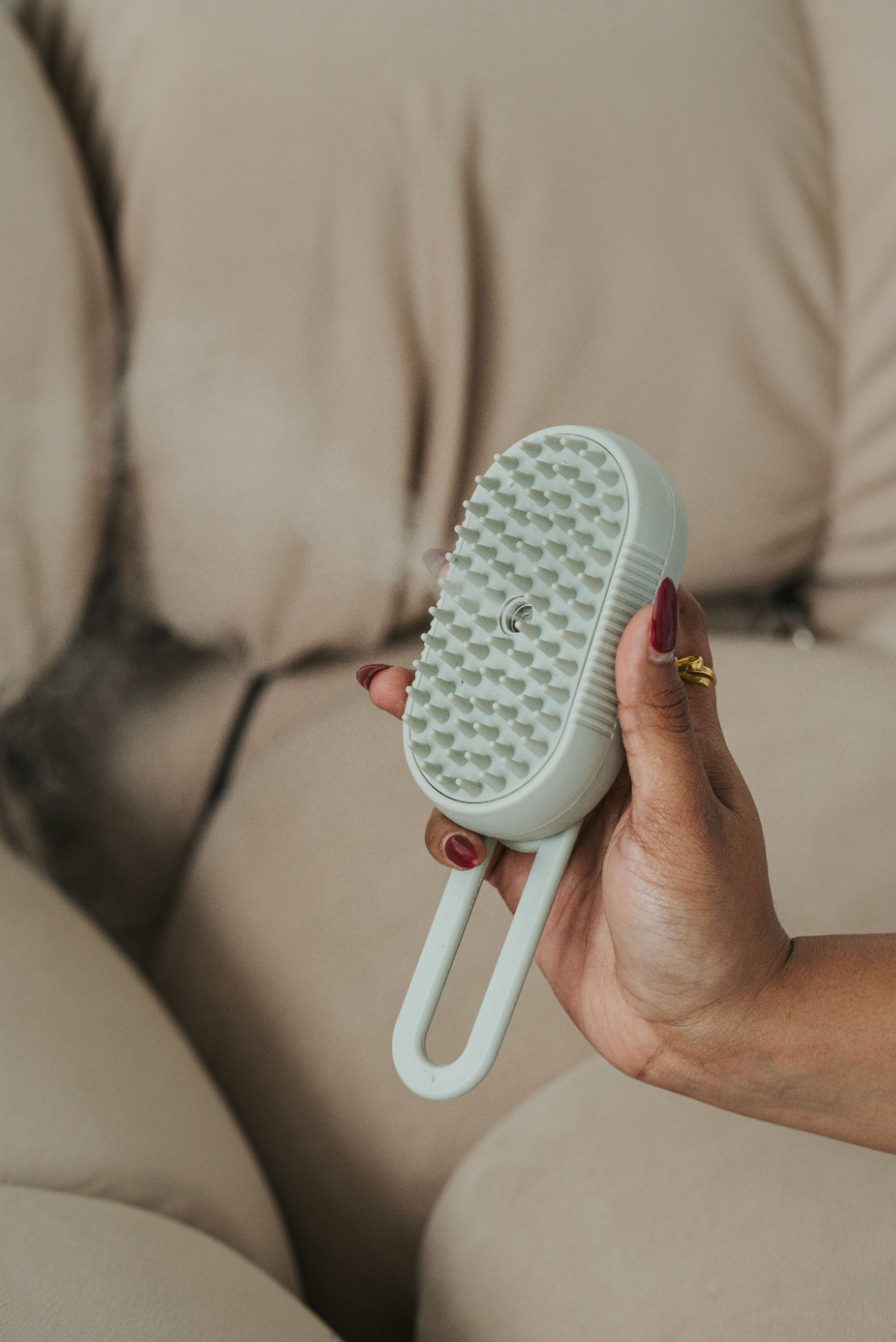 Pet Brush with Spray