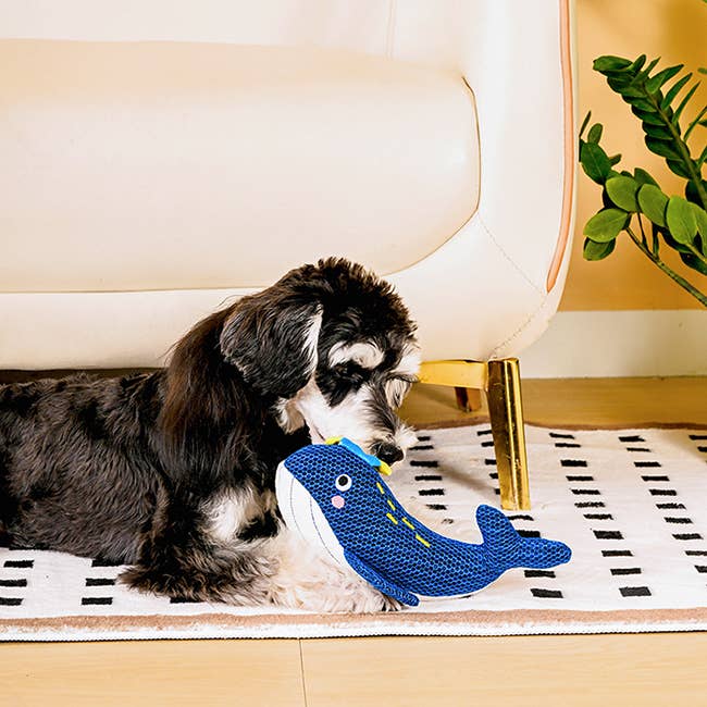 HugSmart Pet - Ocean Pals | Whale - Dog Plush Toy