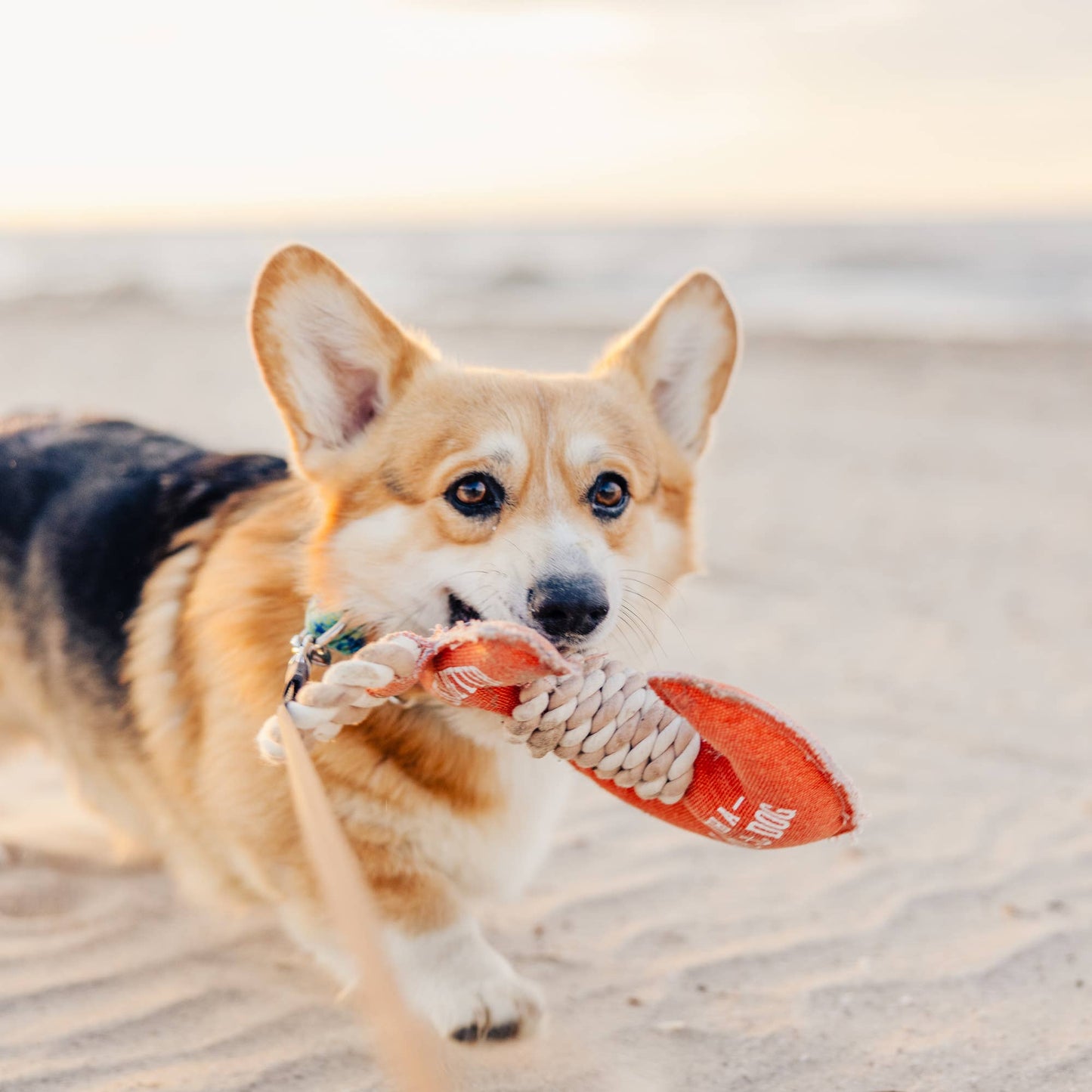 NEW!! Lake Dog - 12" Canvas Dog Toy on Rope
