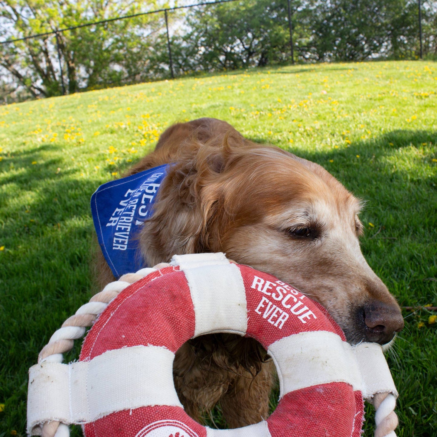 NEW!!! Best Rescue Ever - 10" Canvas Dog Toy on Rope