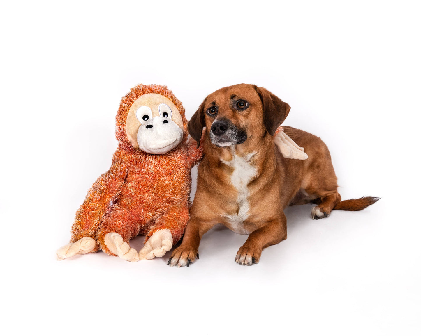 Fluffy Orangutan Plush Dog Toy: SMALL 11"