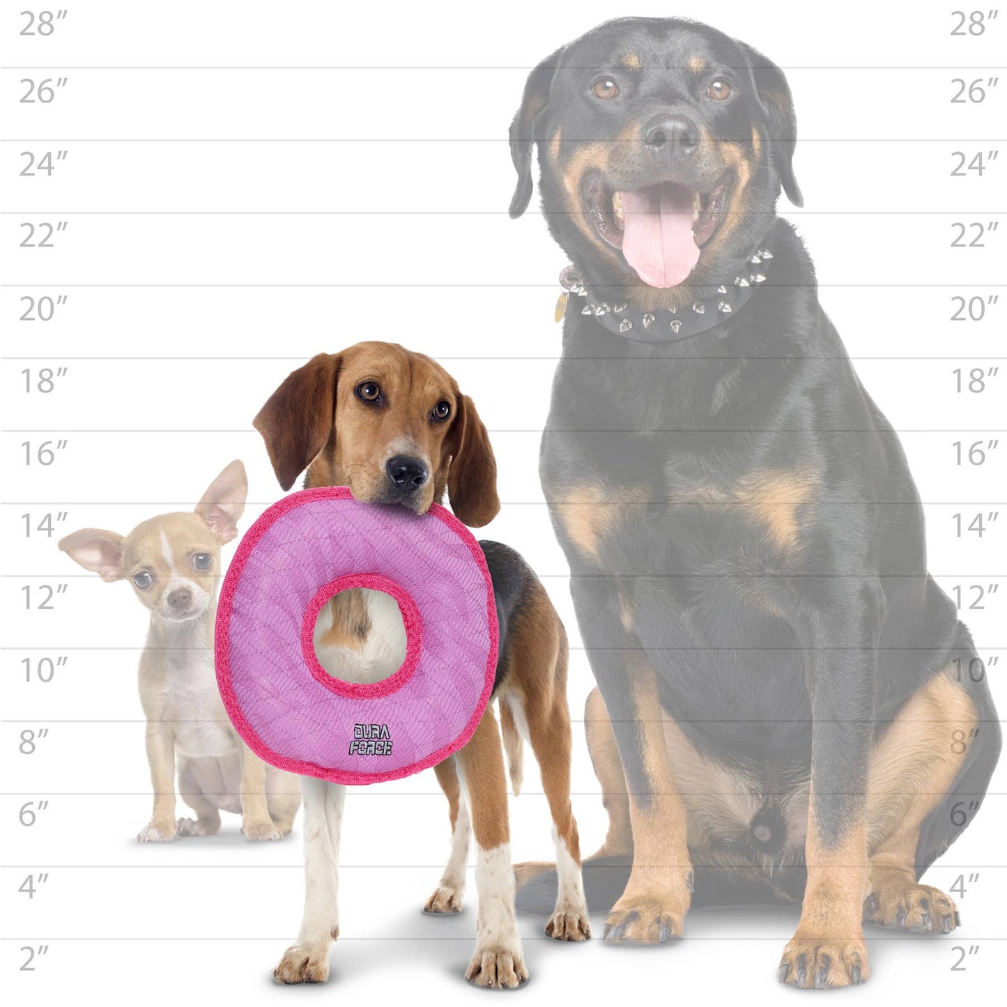 DuraForce Medium Ring - Pink