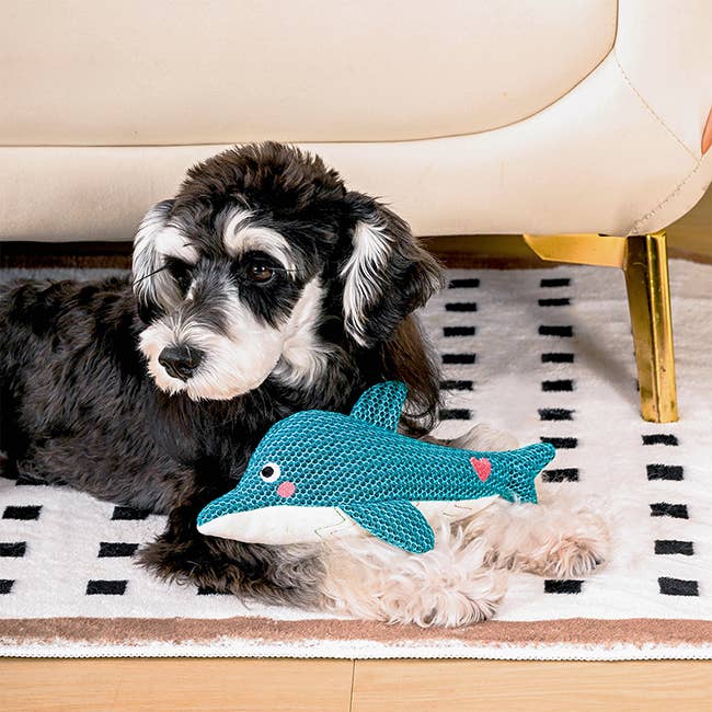 HugSmart Pet - Ocean Pals | Dolphin - Dog Plush Toy
