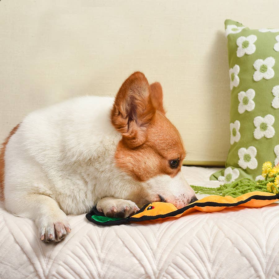 HugSmart Pet - Squeakin’ Vegetables | Carrot - Dog Plush Toy
