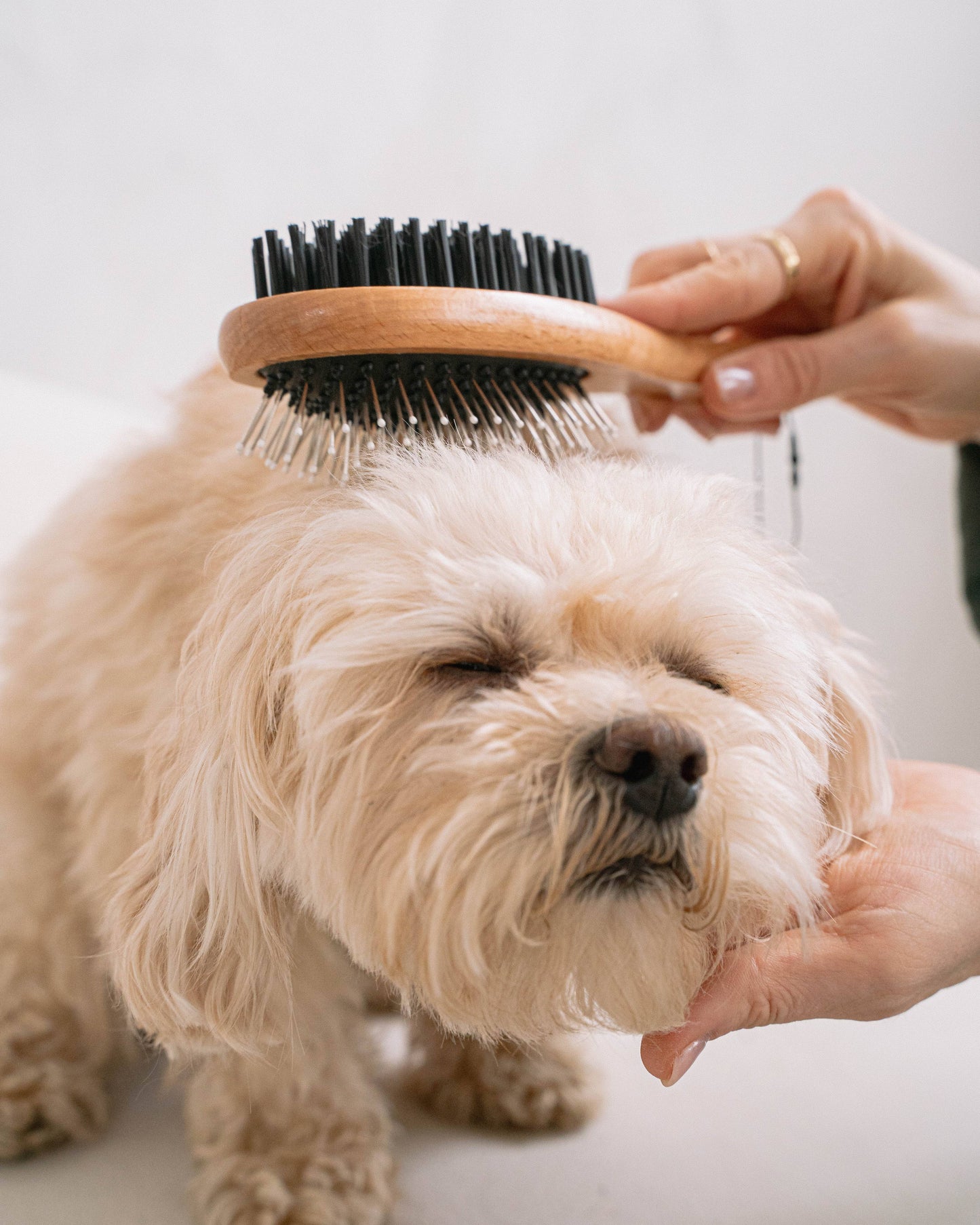 Dual-Sided Multi-Purpose Brush for dogs & cats