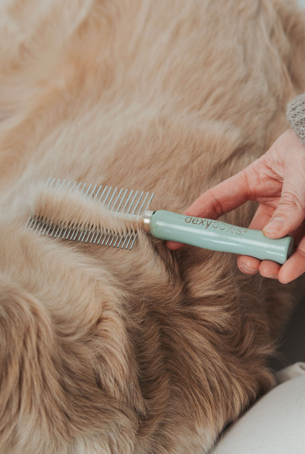 Stainless Steel Pet Comb