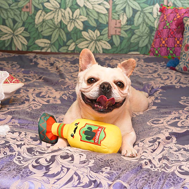 HugSmart Pet - Fiesta Chewsday | Tequila - Dog Plush Toy