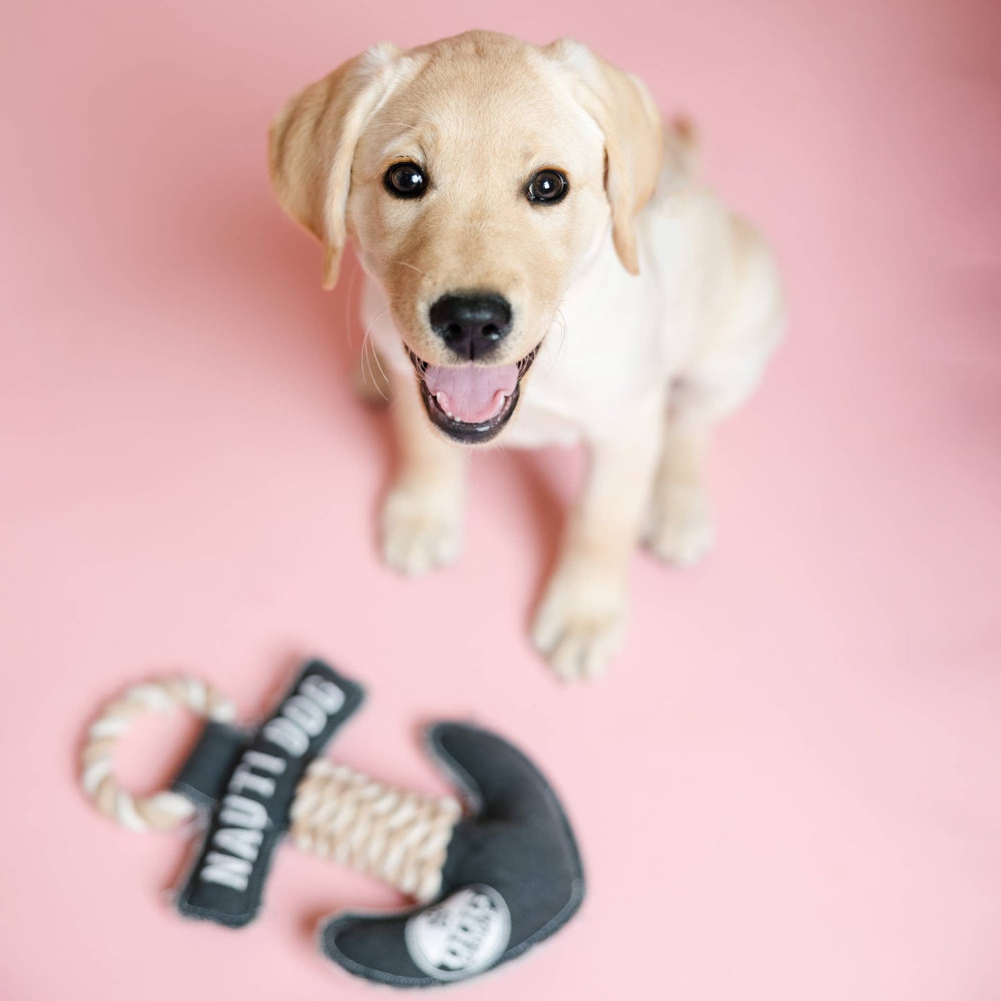 NEW!! Nauti Dog - 12" Canvas Dog Toy on Rope