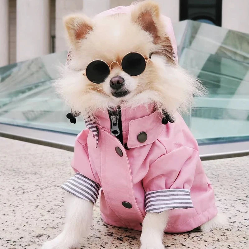Storm Paws Rain Jacket