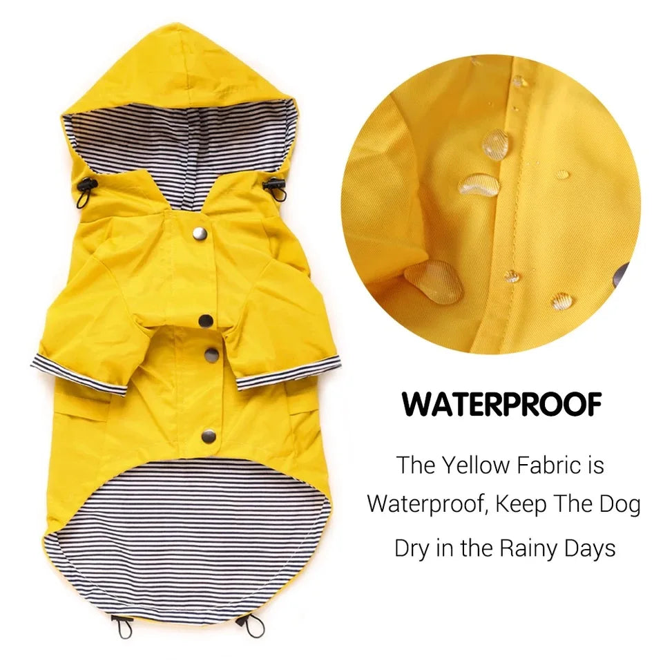 Storm Paws Rain Jacket