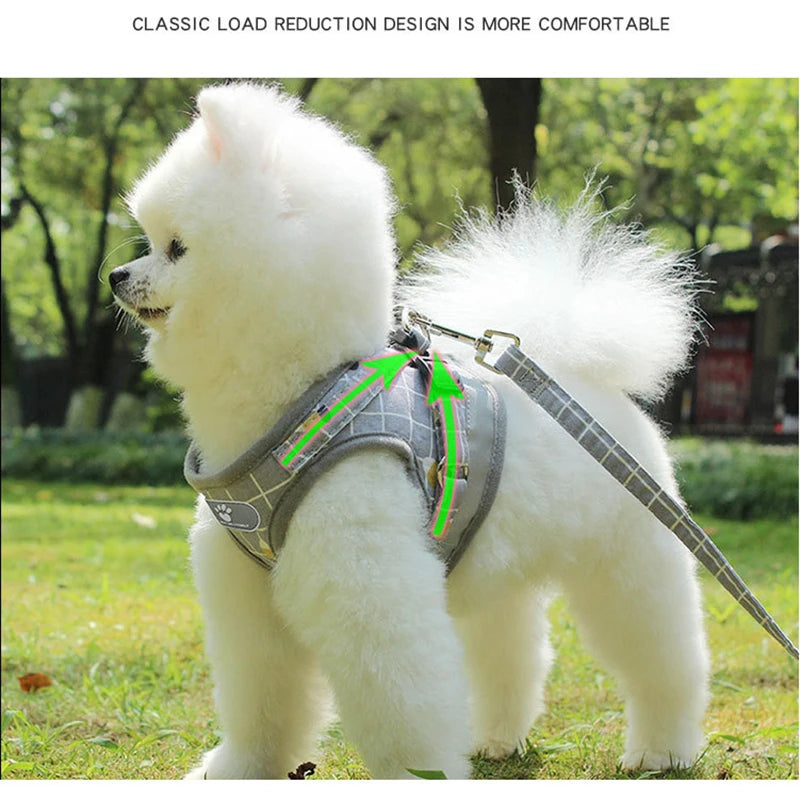 Checkered Pet harness