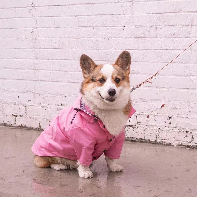 Storm Paws Rain Jacket