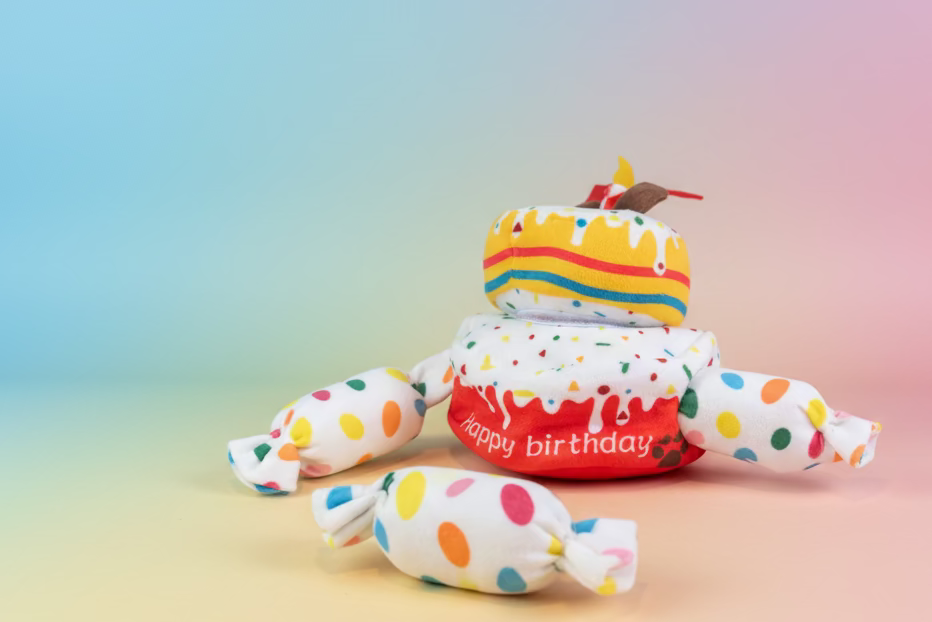 Birthday Double layer cake with hide and sniff treats