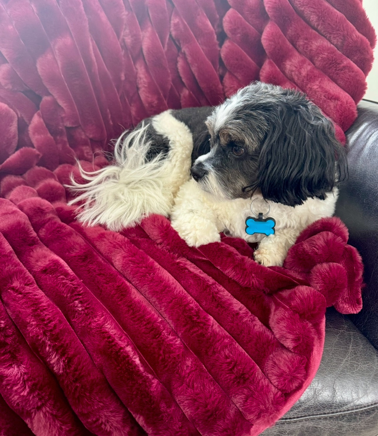 People and Pet throw!
XL Decadent faux-fur jacquard stripe throw.