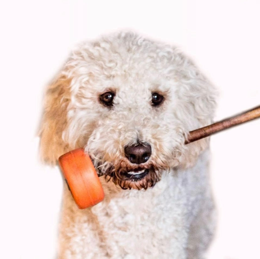 MEDIUM - Bully Stick Holder (pairs well with our 'Thick' Bully Sticks)