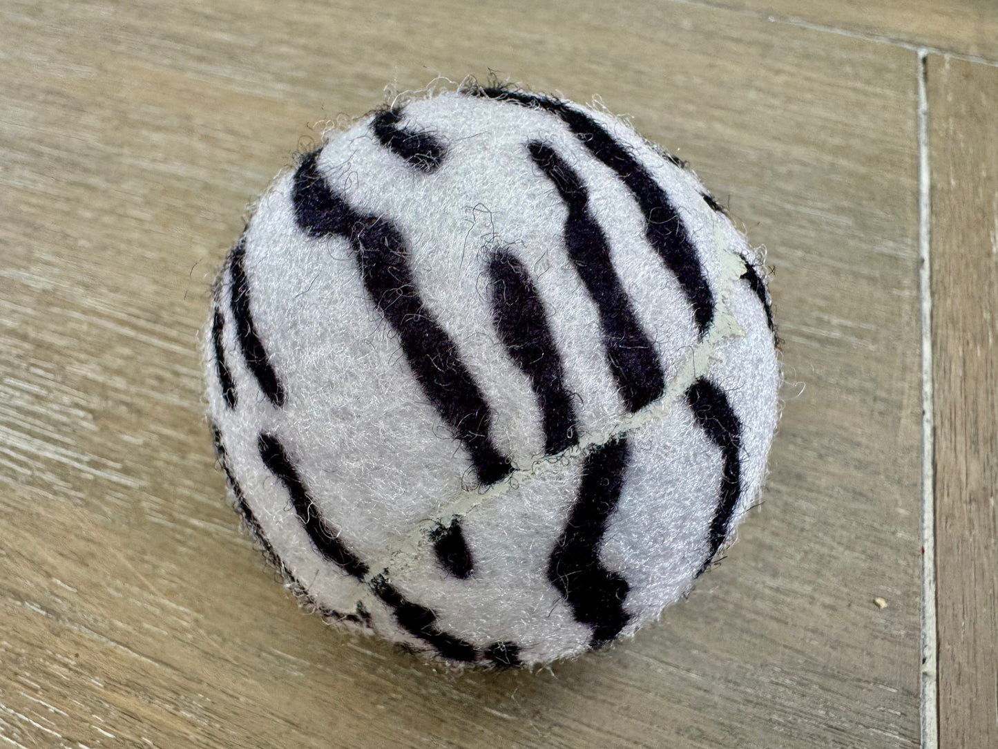 Safari Squeekers ball