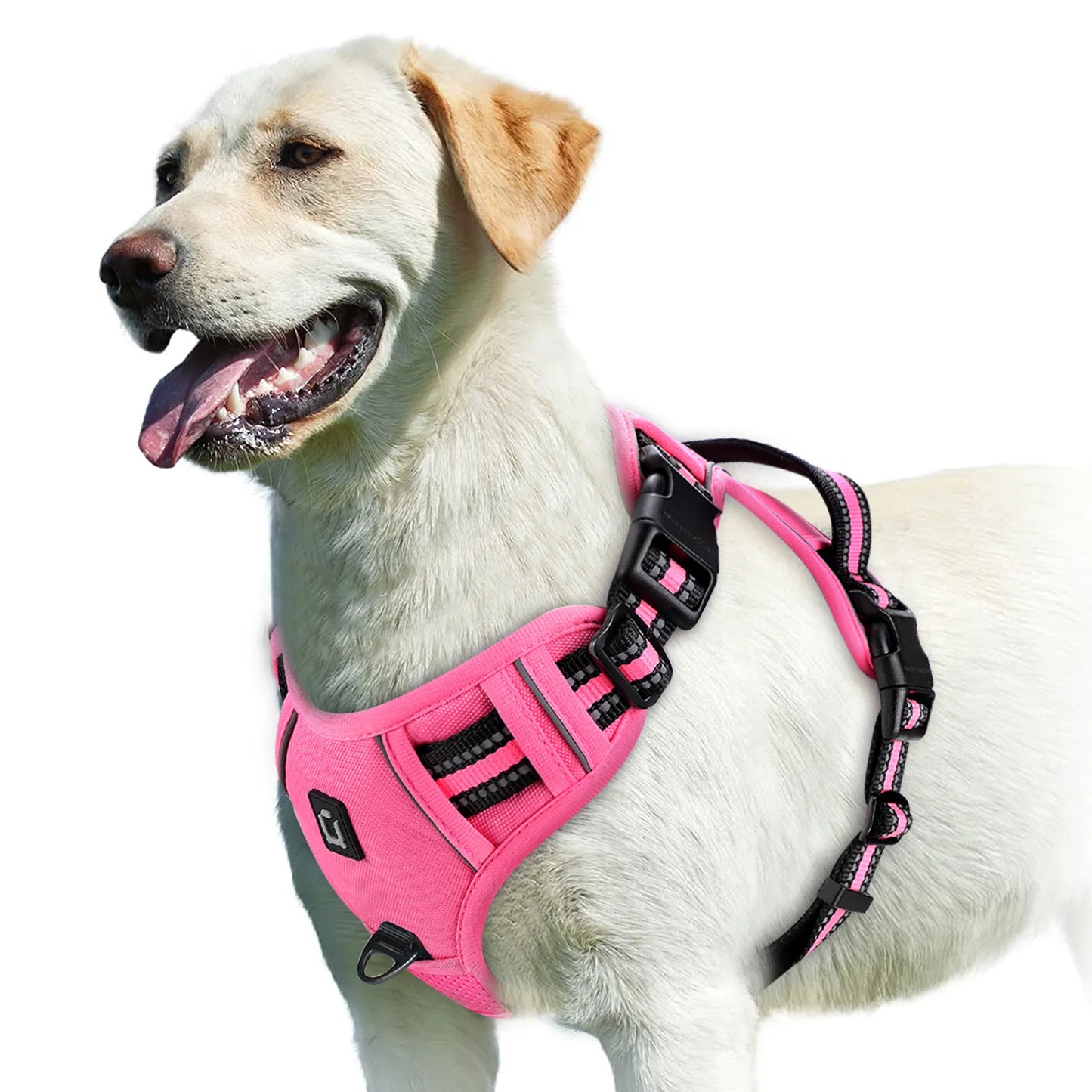 Soft Padded Harness 9 colors available