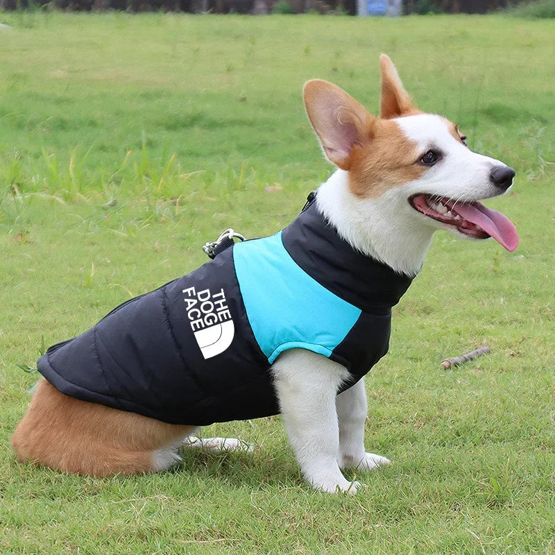 The Dog Face Padded Jacket