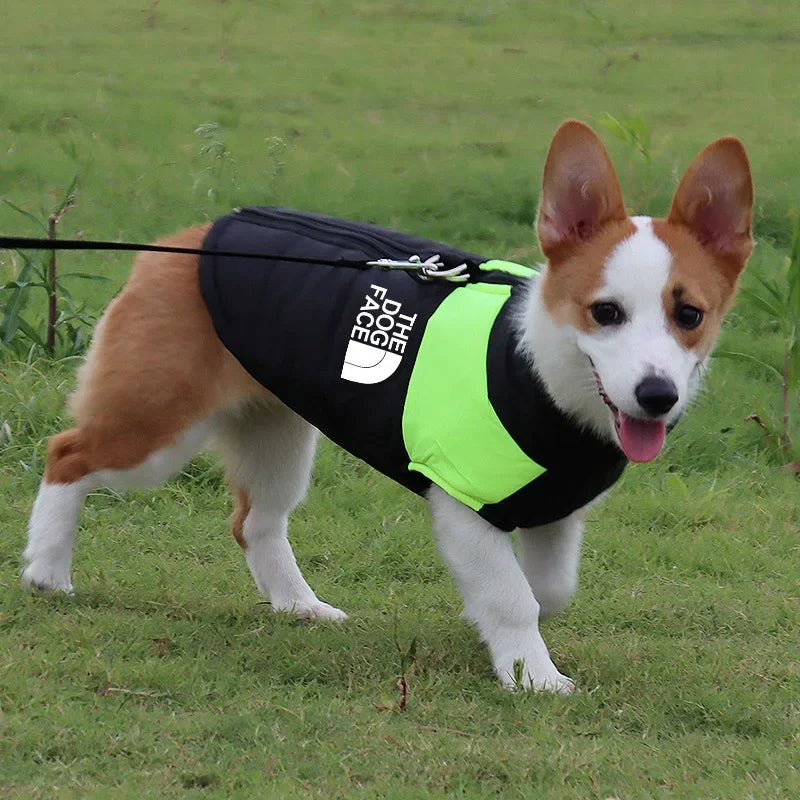 The Dog Face Padded Jacket