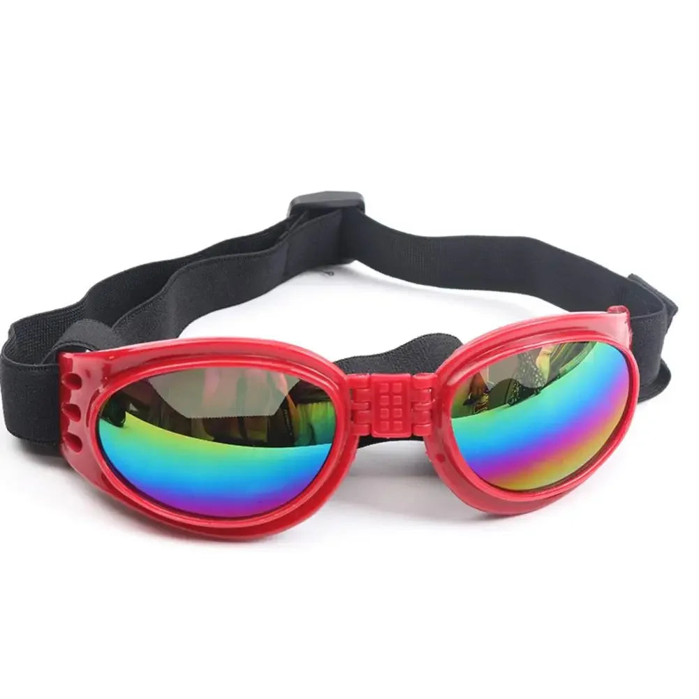 Pet sunglasses