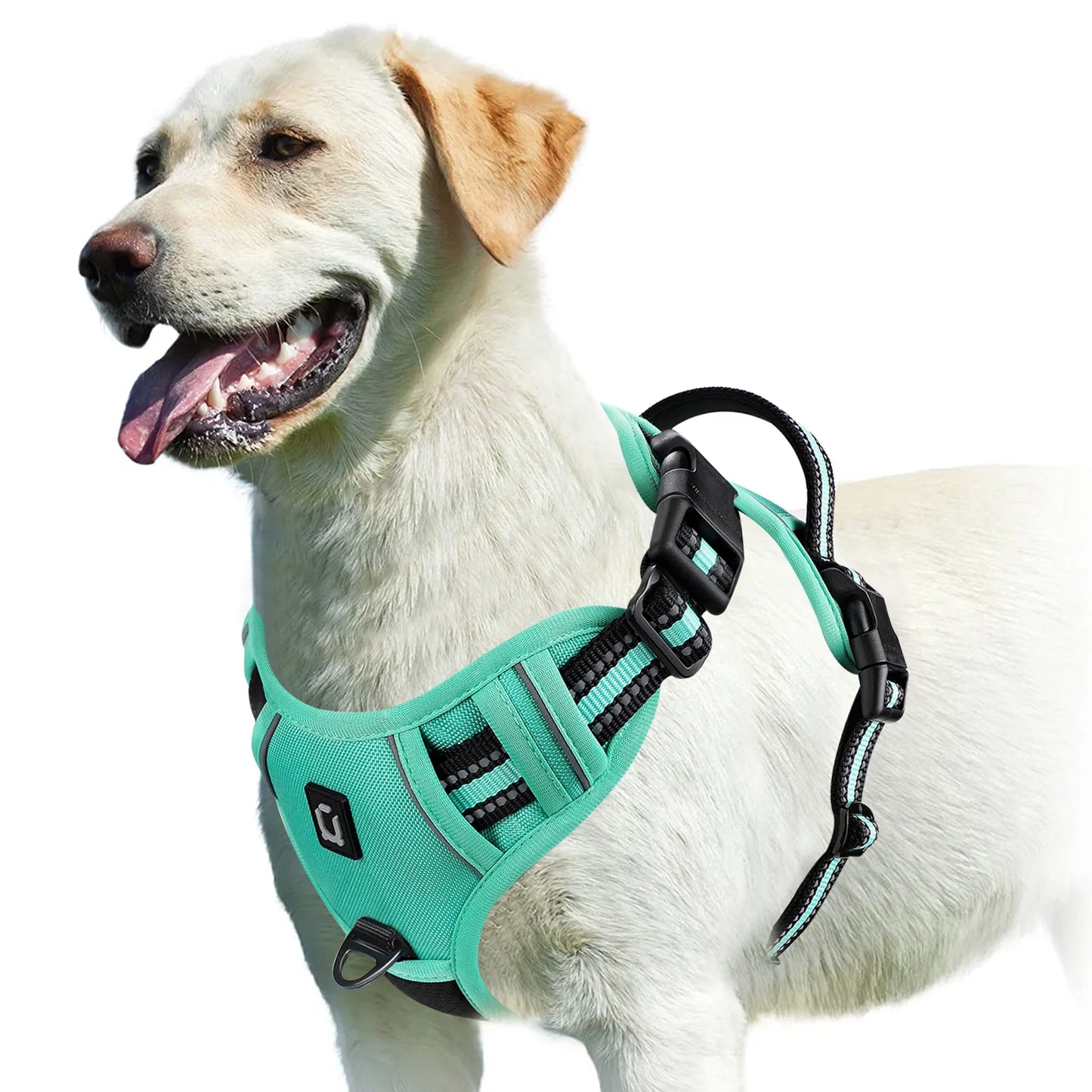 Soft Padded Harness 9 colors available
