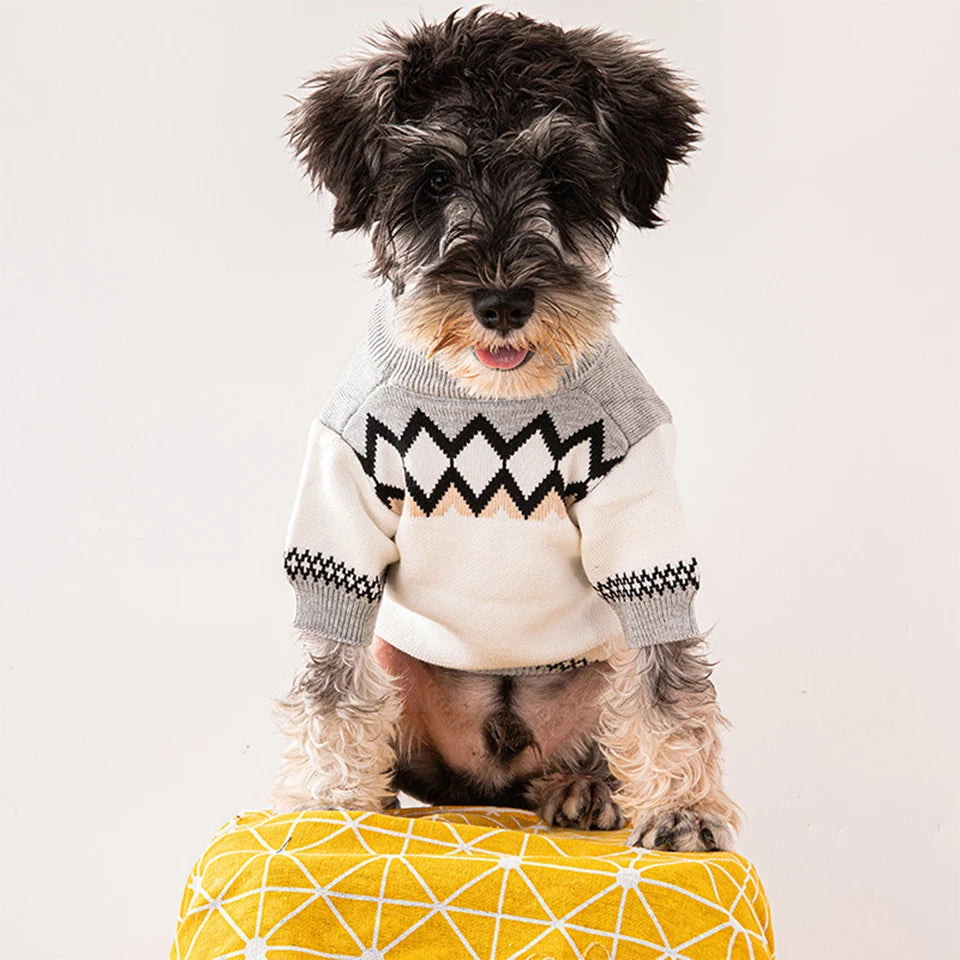 Pawda sweater