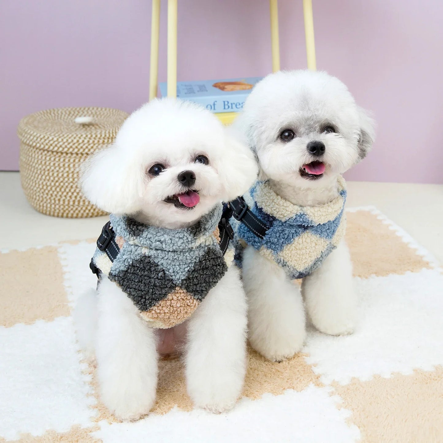 Stylish hip dog jacket.