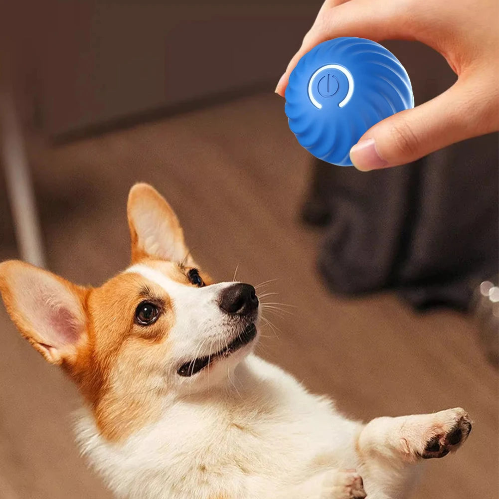Interactive Automatic Pet Toy Ball