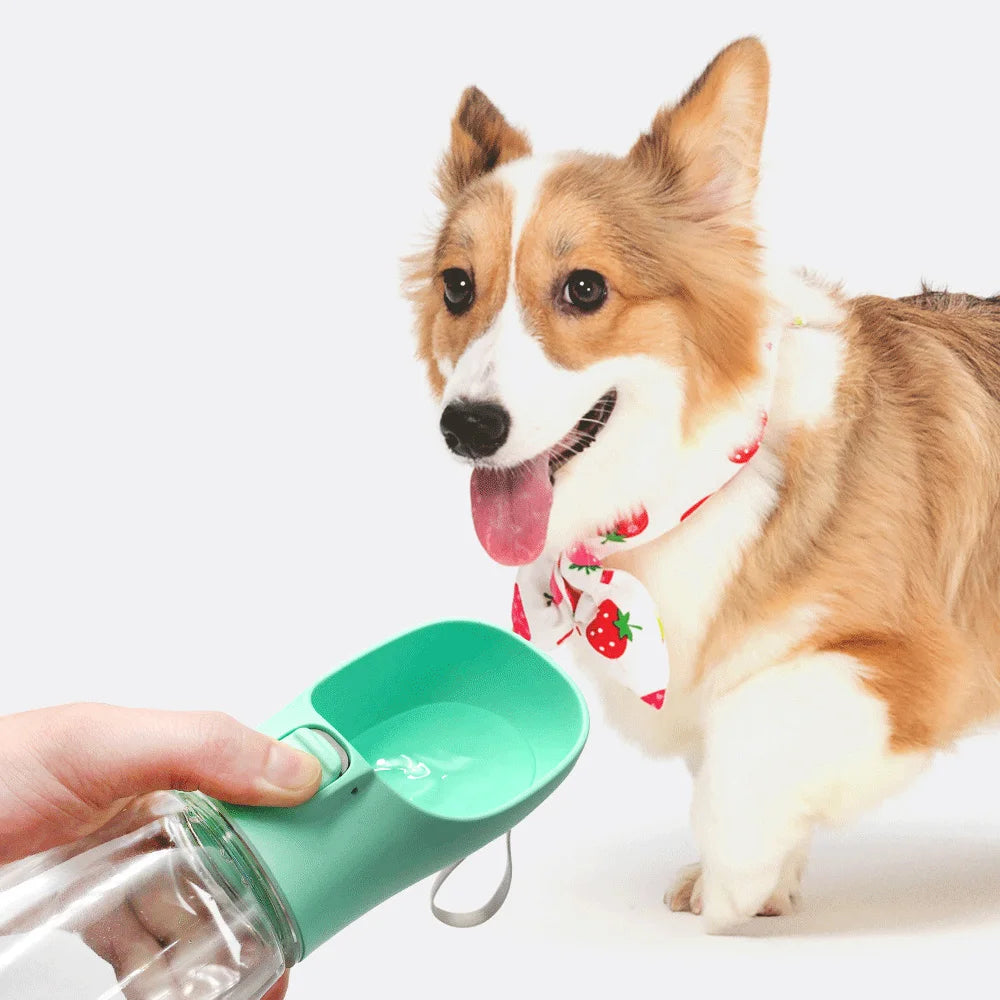 Durable Leakproof Pet Water Bottle