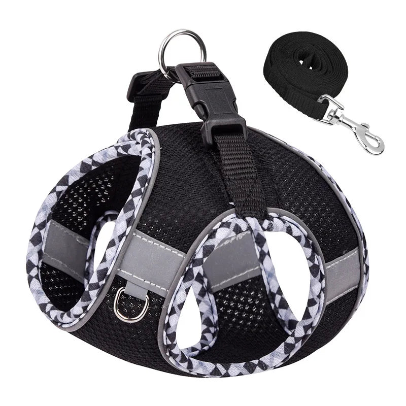 Outdoors Harness and Leash Set for Small Medium Dogs