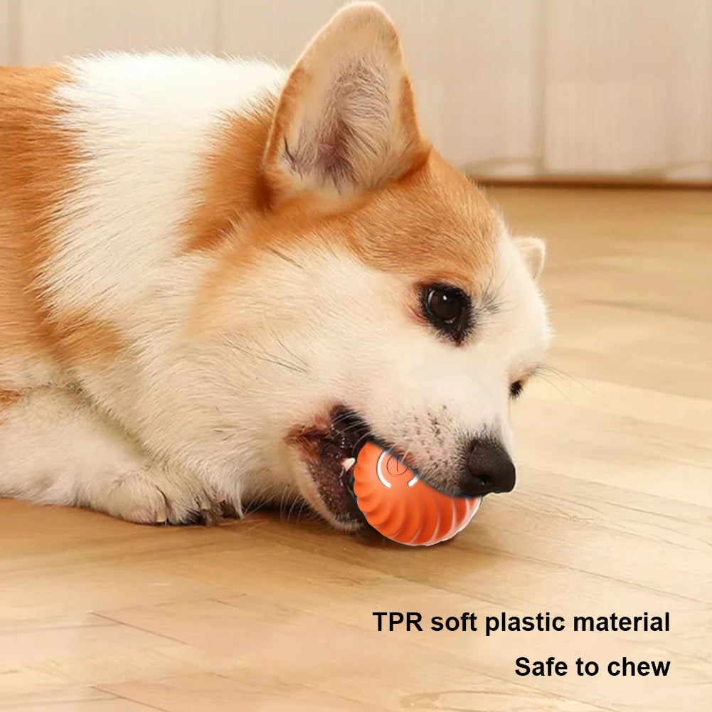 Interactive Automatic Pet Toy Ball