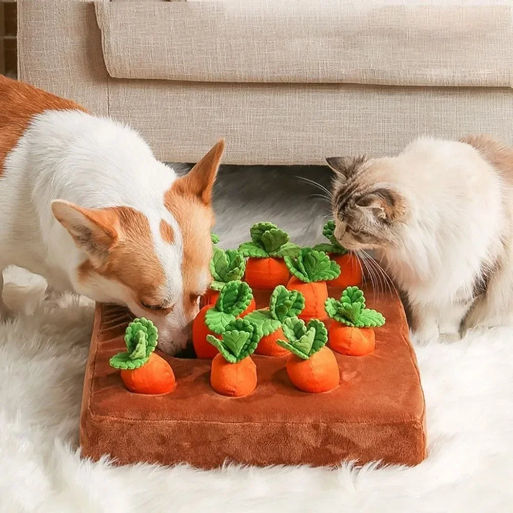 Carrot or Strawberry Snuffle Mat for Dogs and Cats
