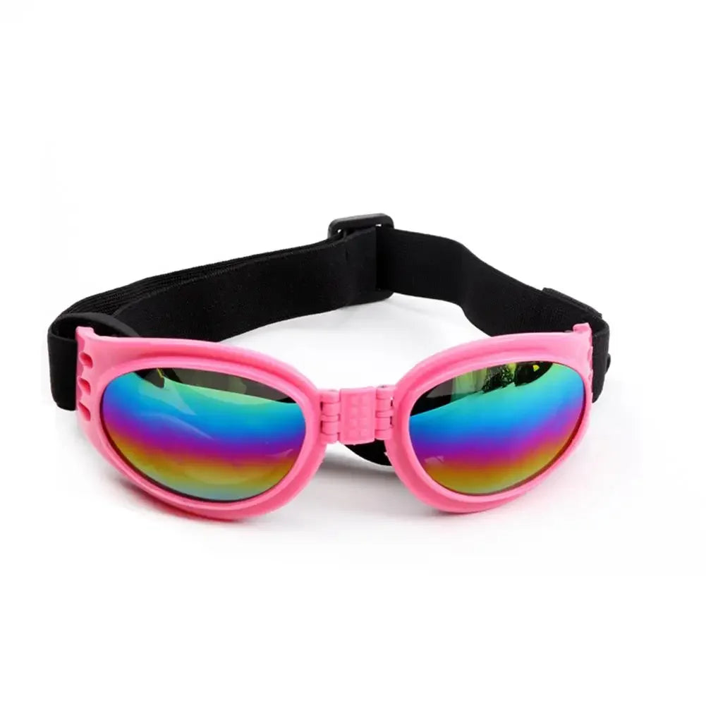 Pet sunglasses