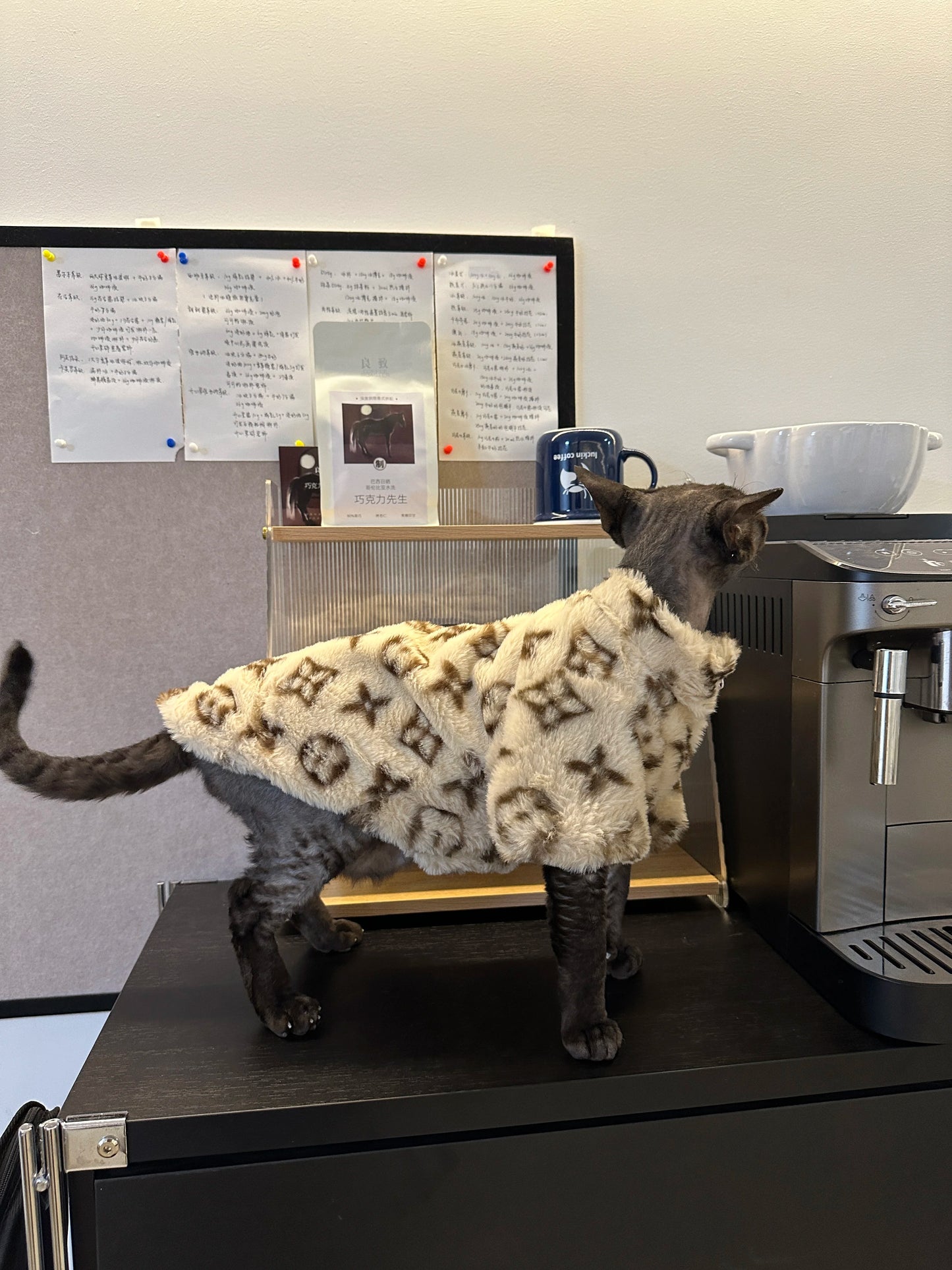 The Faux Louis Vuitton Dog Jacket – For the Pooch with Posh Taste