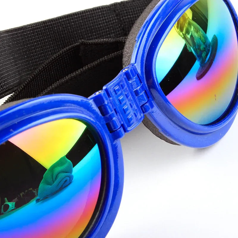 Pet sunglasses